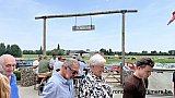 Zandlemig Vlaanderen